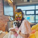 누와나요 이미지