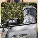 반려동물관리사 이미지