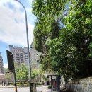 고궁민박 이미지