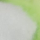 서울미래내과의원 이미지