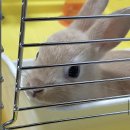 한일동물병원 이미지