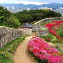 고창읍성 이미지