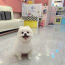 뭉미샵 이미지