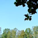 광주가톨릭대학교 이미지