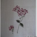 야생화 자수 이미지