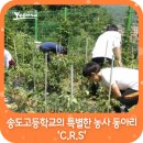 송도고등학교 내 이미지