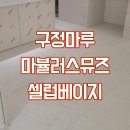 펜테리움 금강아파트 102동 앞 | 화성시 동탄호수공원금강펜테리움센트럴파크 아파트 구정마루 마뷸러스 뮤즈 셀럽베이지 마루업체시공후기