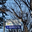 해운대로161번길 이미지