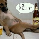 飮酒 七不顧 이미지