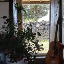 구좌 라파 김두성 할머니집 이미지