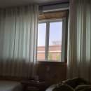 여여가 다랭이 이미지