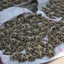 대구인지초등학교 이미지