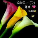 선녀와 나뭇꾼 Daum카페