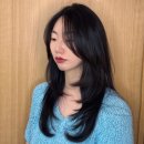 사직동 미용실 신길이네미장원 솔직후기 | 겨울쿨톤 애쉬브라운염색 이미지 변신 대성공