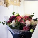 라떼플로라 이미지