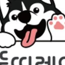 뚱띠레이 이미지