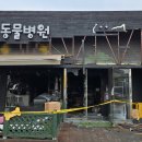 아침동물병원 이미지