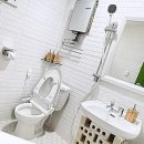 봄날의 댕댕이 | 전주에서 만난 봄날의 설렘, 우리 아이와 함께한 완벽한 하루