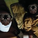 천지인불가마사우나 이미지