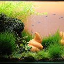 분토축산 이미지