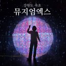속초 가볼만한곳 데이트코스 추천 뮤지엄엑스 후기