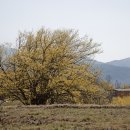 수유마을 이미지