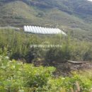 광개토대왕공인중개사사무소 이미지