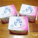 쏘피하우스