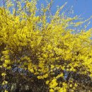 지티행정사사무소 이미지