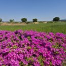 정동 행정사 사무소 이미지