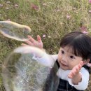 친구와 돌담길 이미지