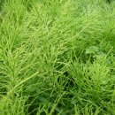 대산농장 이미지