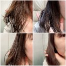 강헤어필 | [닥터탑] 미라클 골든 오일 세럼, 손상모발 헤어에센스오일 추천
