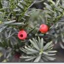 원우농장 이미지