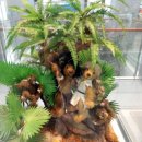 제주테디베어뮤지엄 이미지