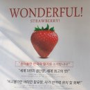 킴스베리 이미지