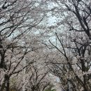 안태지천 이미지