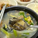 통영굴국밥물회