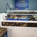 쇼베트남노래방