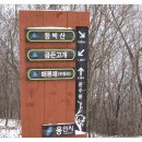 용인정신병원 이미지