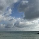 희호마트 | 2박 3일 호트리오 제주여행기🍊🏝️ - 2