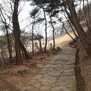 고모산성(오미자 테마터널) 이미지