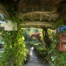 숲속의둥지 이미지