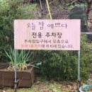 오늘 참 예쁘다 이미지