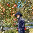 뉴스타세탁소 이미지