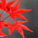 잔아문학박물관 이미지