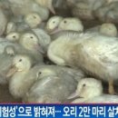 원천오리 이미지