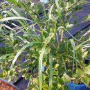 광수농장1 이미지