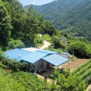 무릉도원면-37 이미지