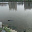 칠암남강둔치 이미지